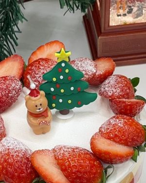 🎄 크리스마스 특별 주문