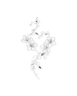 ✣ 예약 가능 도안 