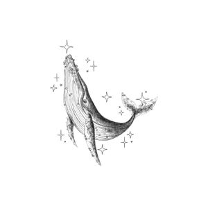 ✣ 예약 가능 도안 