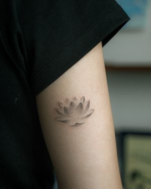 연꽃 작업
