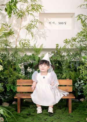 (시즌 한정)포레스트 그린-가격 및 구성