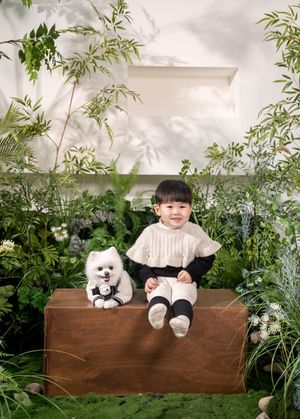 🍃 시즌컨셉 : 포레스트 그린
