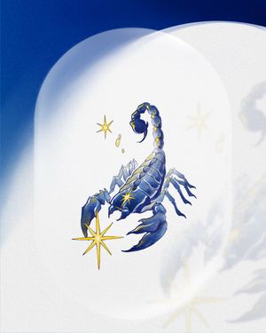 예약 가능한 별자리✨