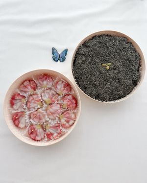 상견례, 첫인사