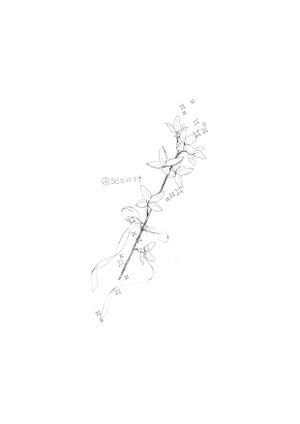 ✣ 예약 가능 도안 